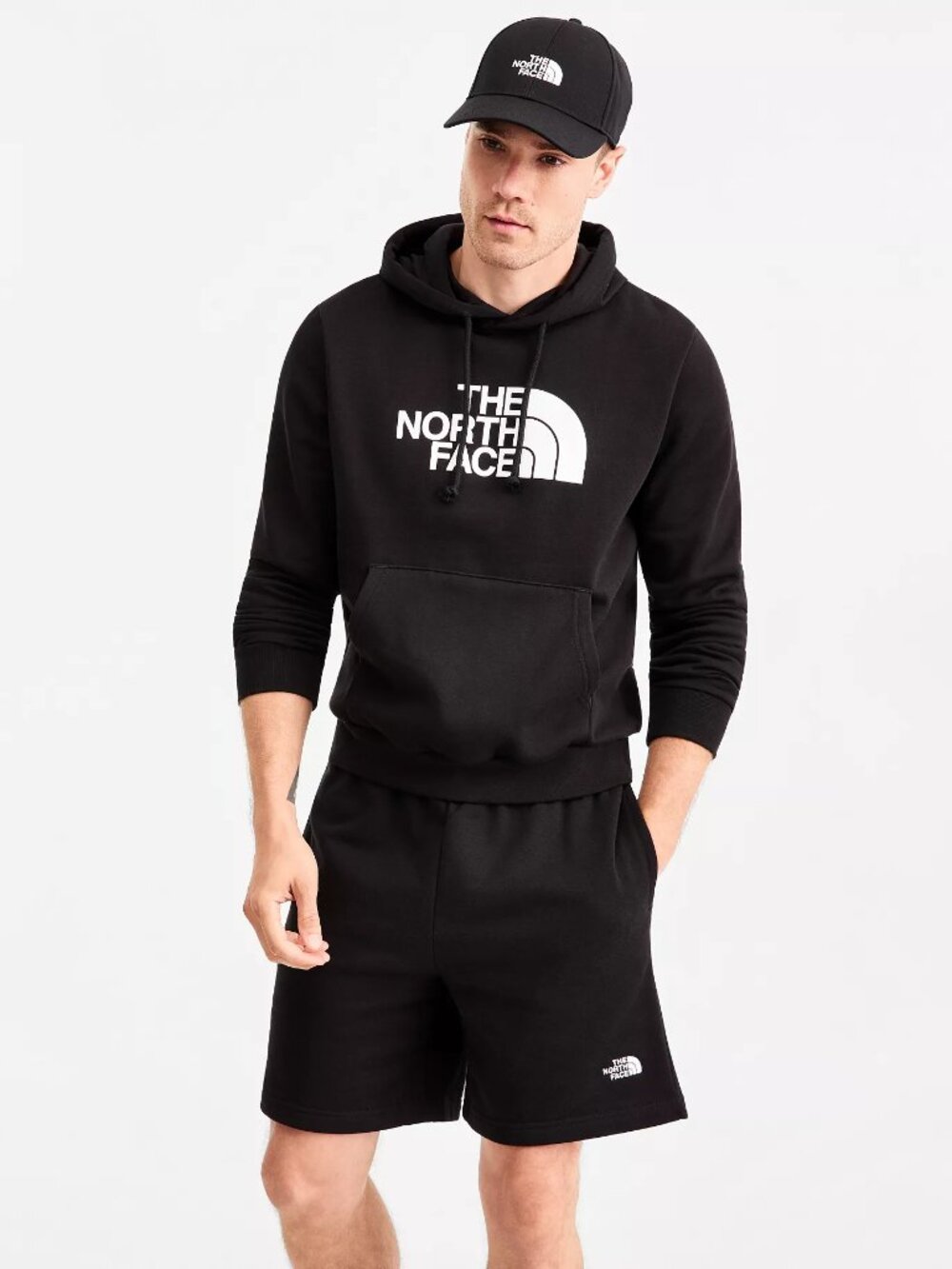 The North Face Men's Evolution Half Dome Pullover Hoodie